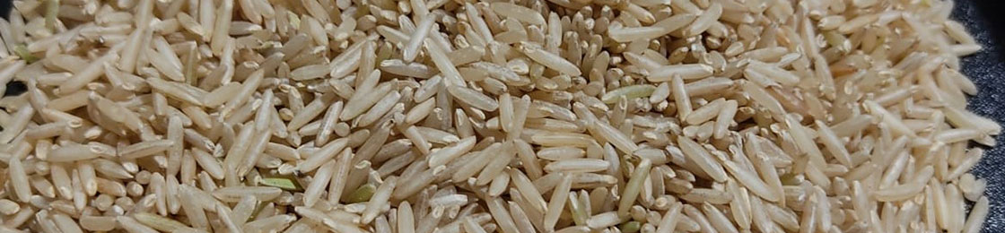 Rice Varieties – Bulk Management